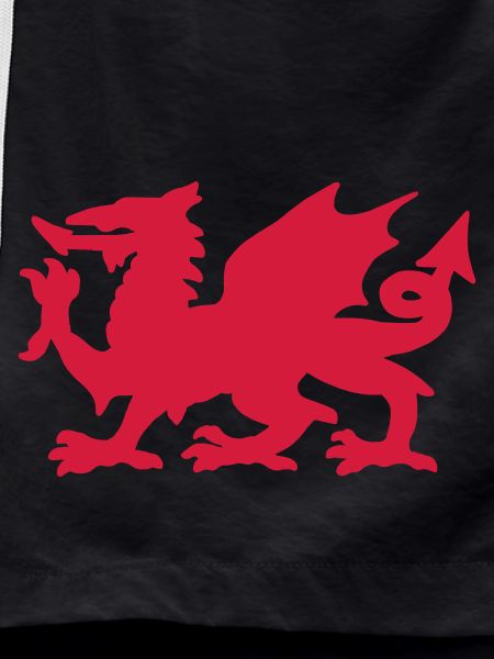 Welsh Dragon