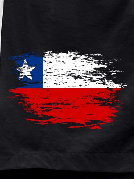 Chile flag used