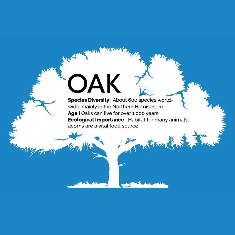 OAK Eichen mit Informationen Naturschutz Baum Wald
