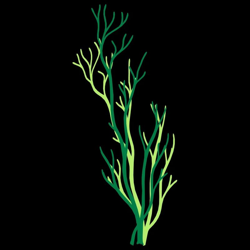 algae underwater coral tree branch plant gra