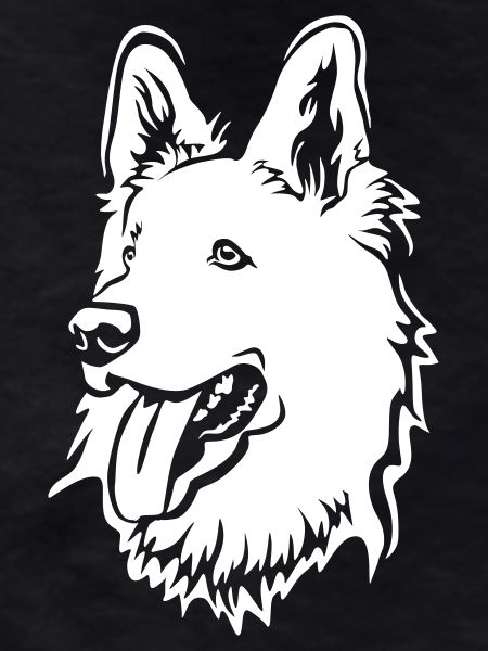 Swiss Shepherd Head "Black Edition"