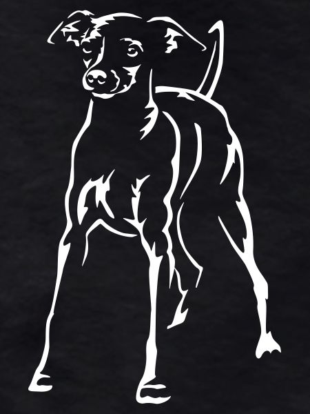 Dwarf Pinscher "Black Edition"