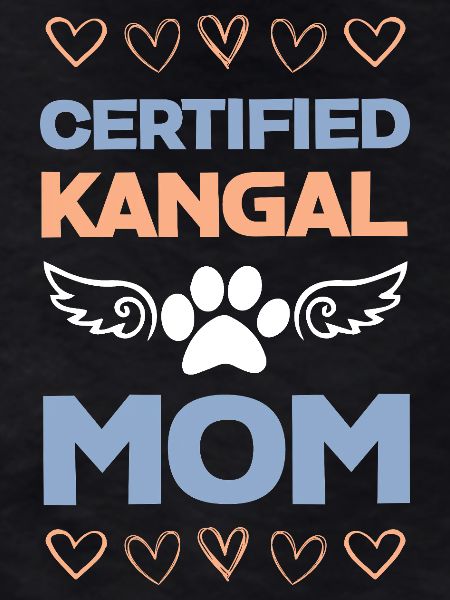 Kangal Mama Certified