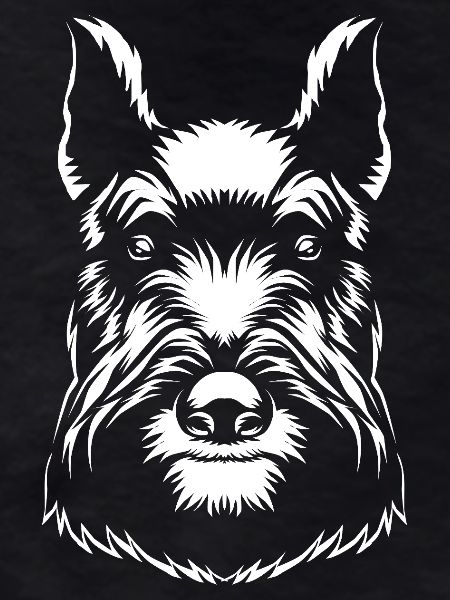 Terrier écossais