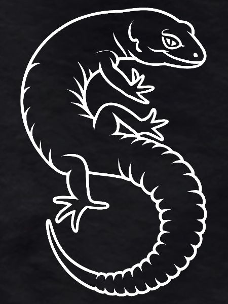 Gecko Silhouette Kontrast
