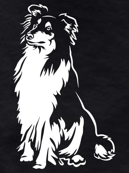 Collie "Black Edition"