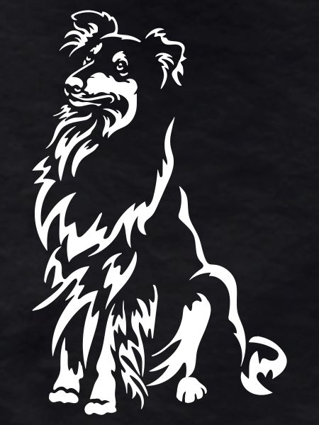 Collie "Black Edition"