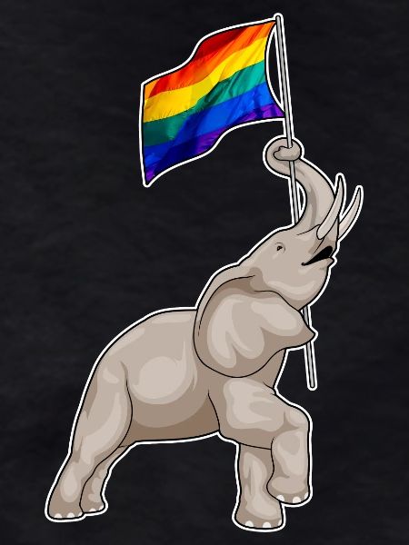 Elephant Rainbow Flag