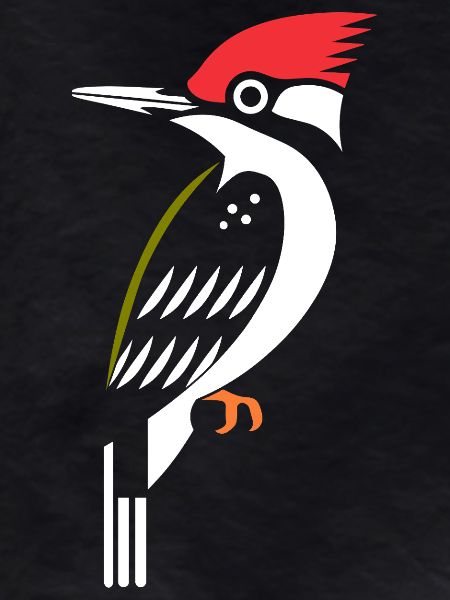 woodpecker