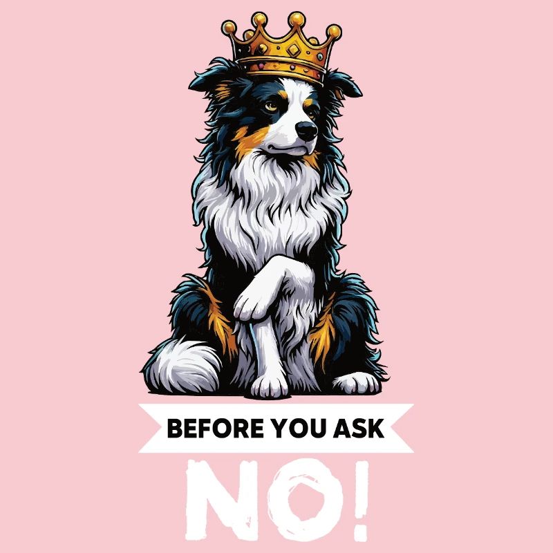 Before You Ask Australian Shepherd Aussie Aussies