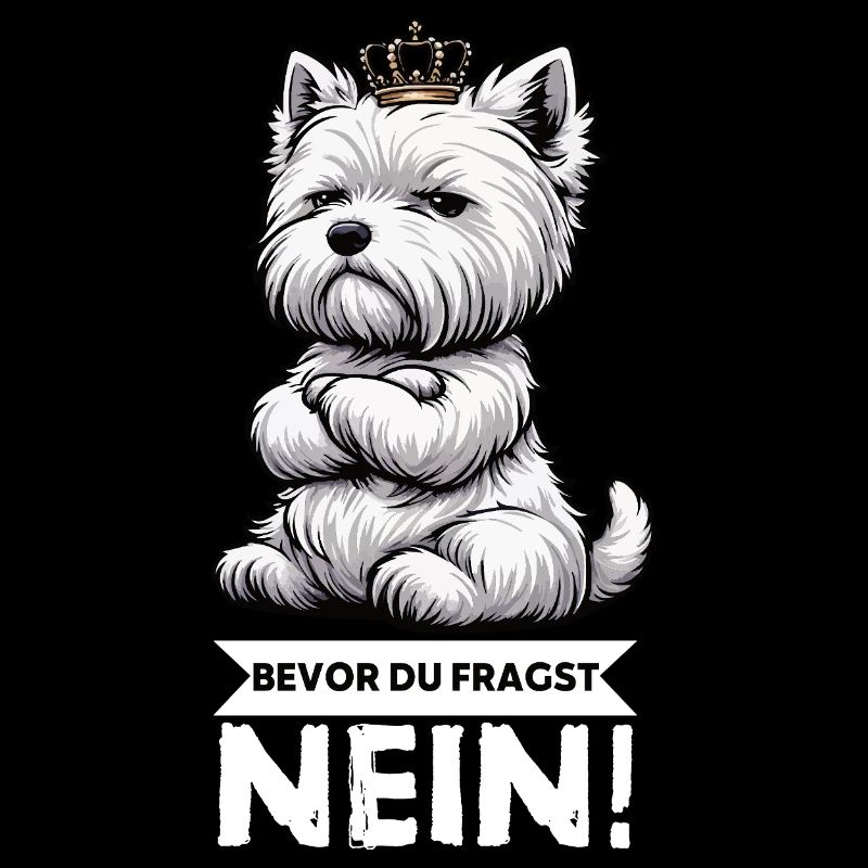 Avant que vous ne demandiez, pas de Westie Westland Terrier