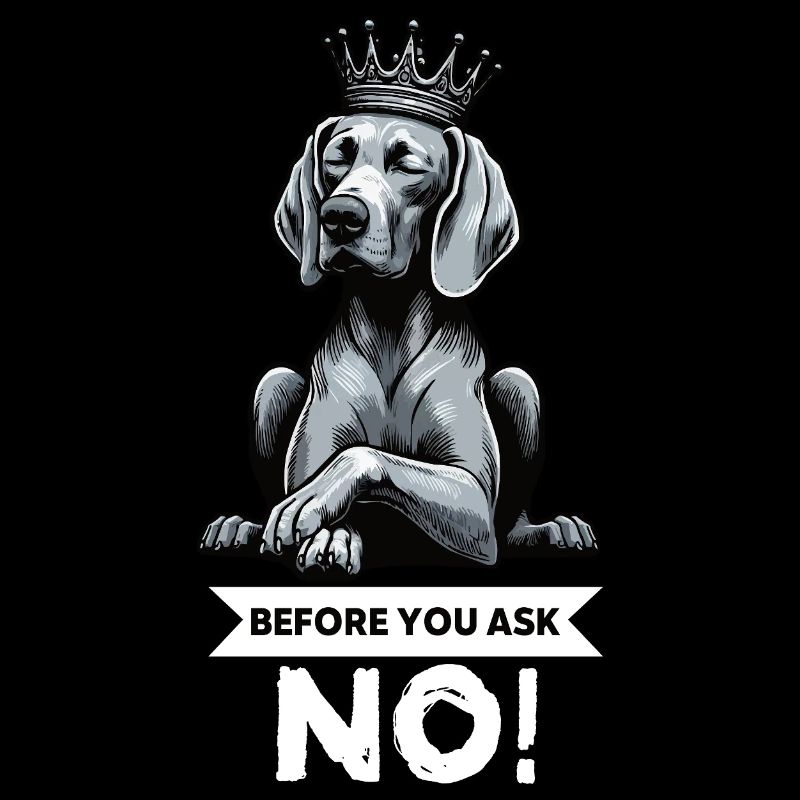 Before You Ask Weimaraner Weimaraner Lovers