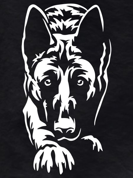 Malinois "Black Edition"
