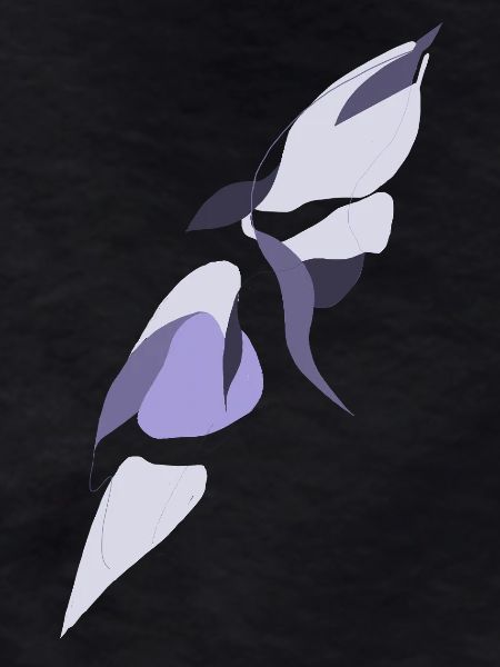 Wings of Shadow and Light