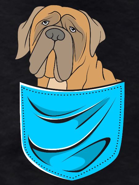 Bullmastiff