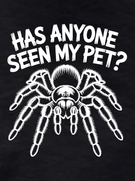 Tarantula Tarantula Funny Saying