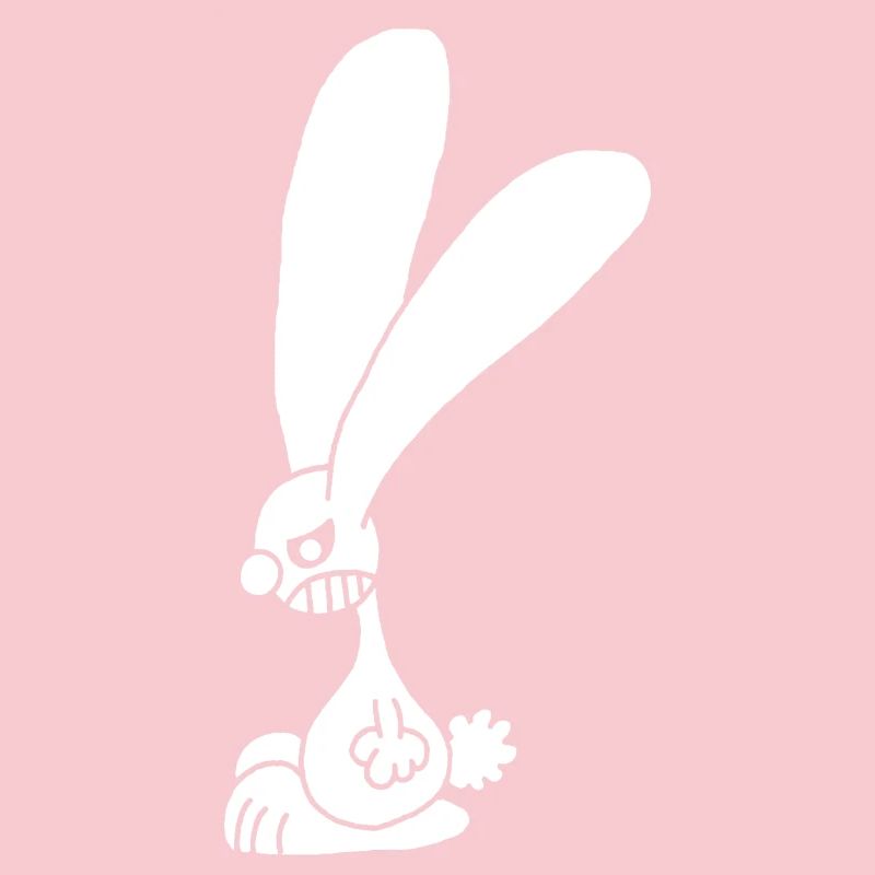 Grumpy white rabbit