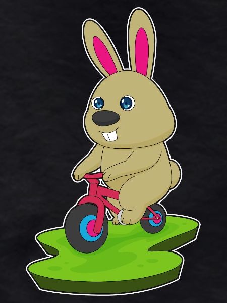 Rabbit Bicycle