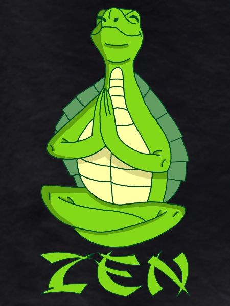 Yogi Turtle