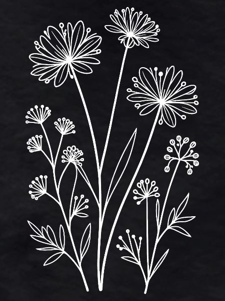 Wildflowers Online on Black