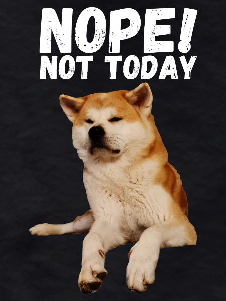 Akita Nope not today
