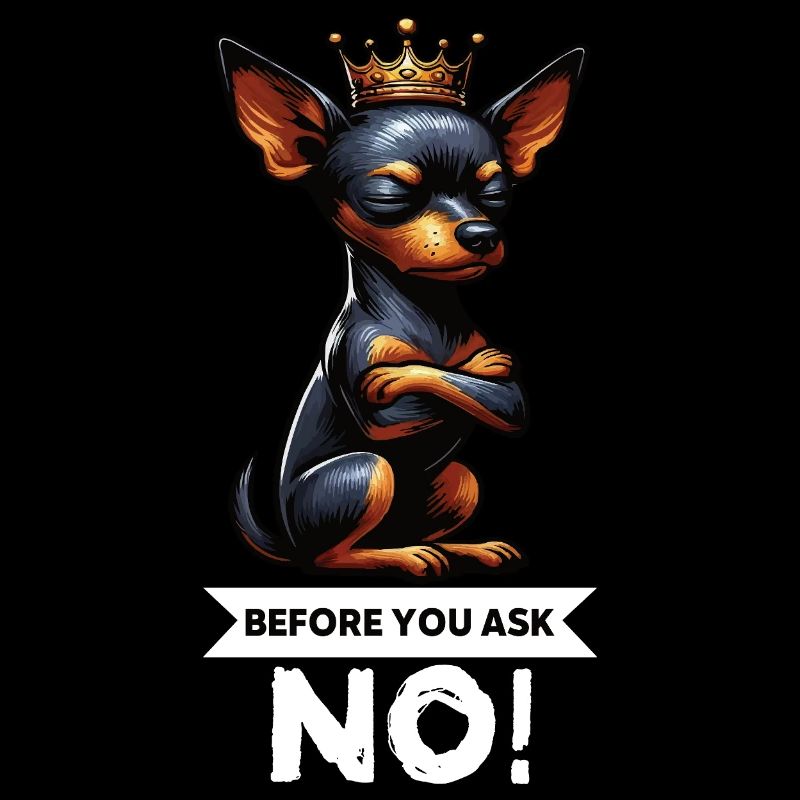 Before You Ask Miniature Pinscher Pinscher Pinscher Dog