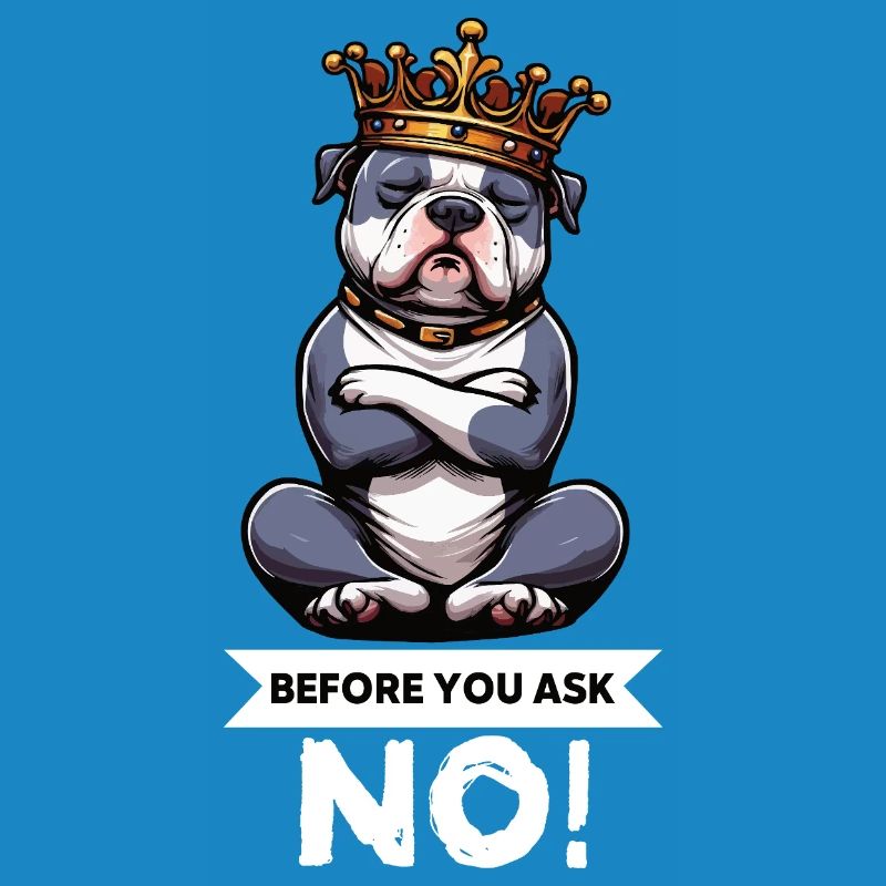 Before You Ask American Bully Bully Pit Bullys