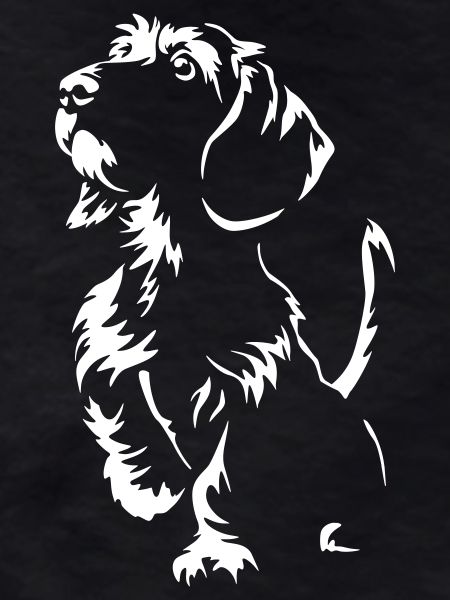 Dachshund "Black Edition"