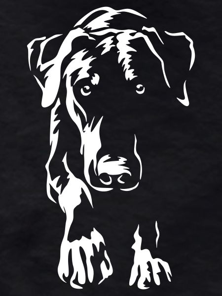 Doberman "Black Edition"