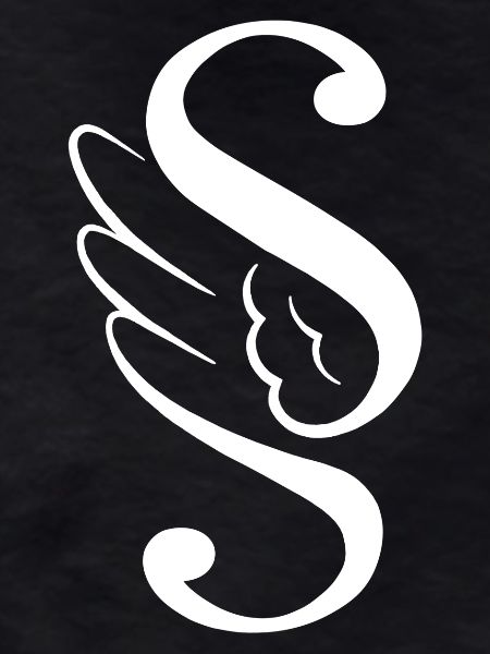 Paragraph Paragraph Wing Wings