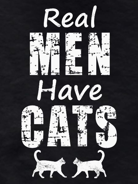 Chats Chats