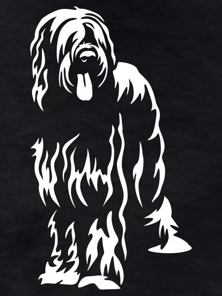 Briard « Black Edition »