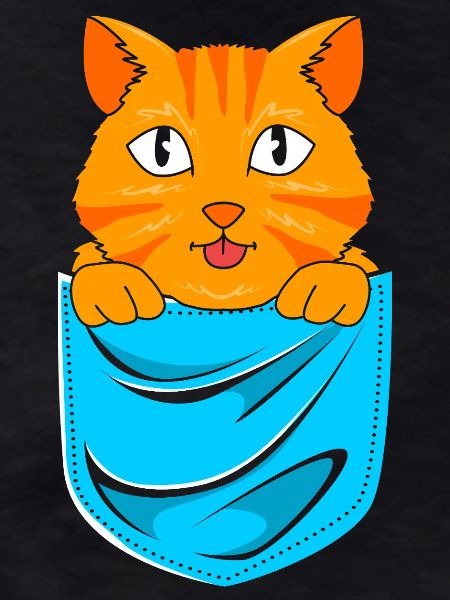 Chat tigré