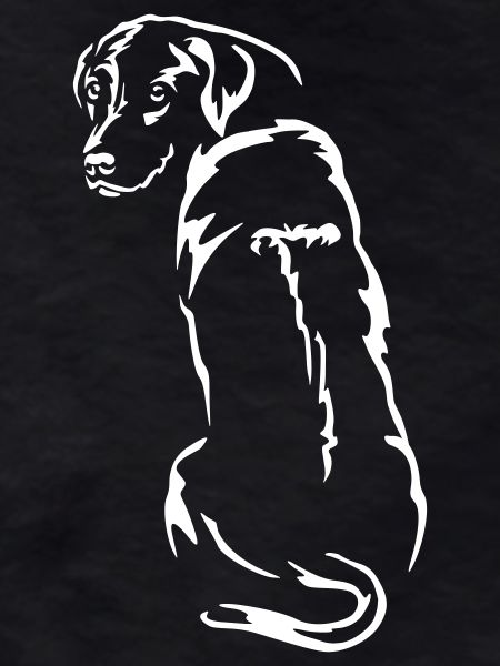 Rhodesian Ridgeback "Black Edition"