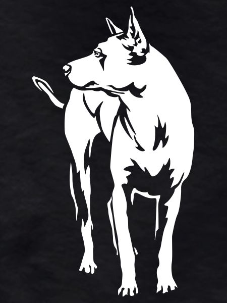 Thai Ridgeback "Black Edition"