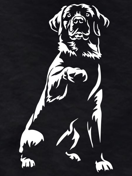 Labrador "Black Edition"