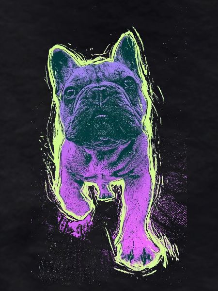 Neon Bulldog Splash