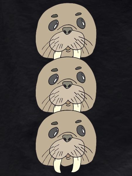 Walrus Triple Pack
