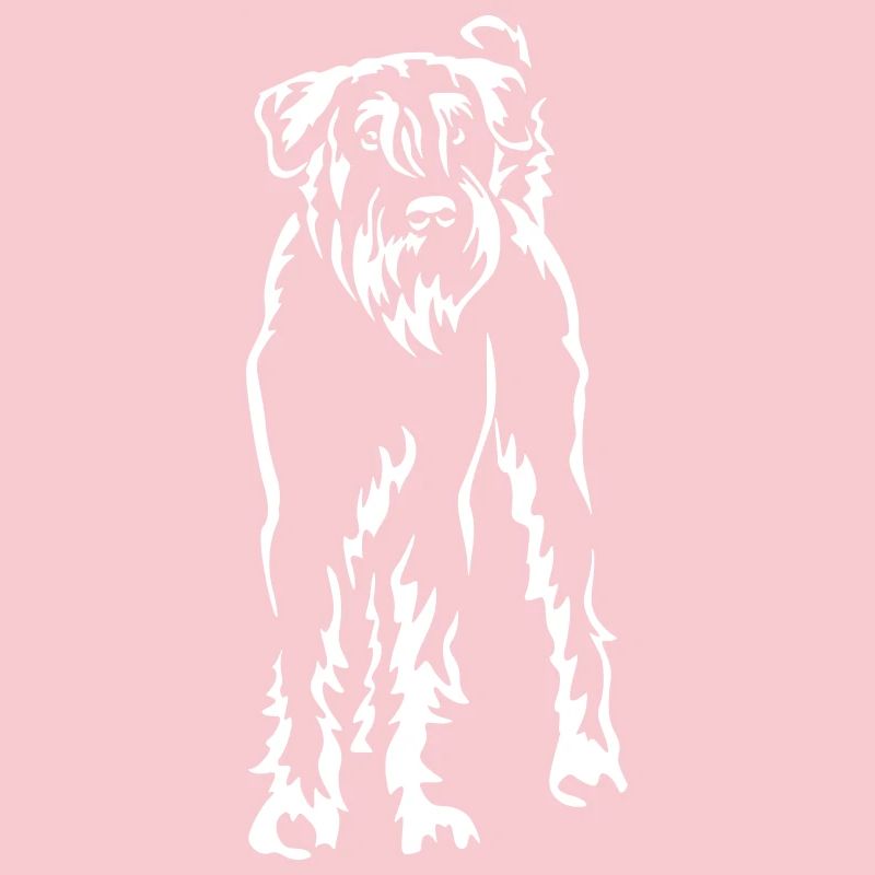 Schnauzer géant « Black Edition »