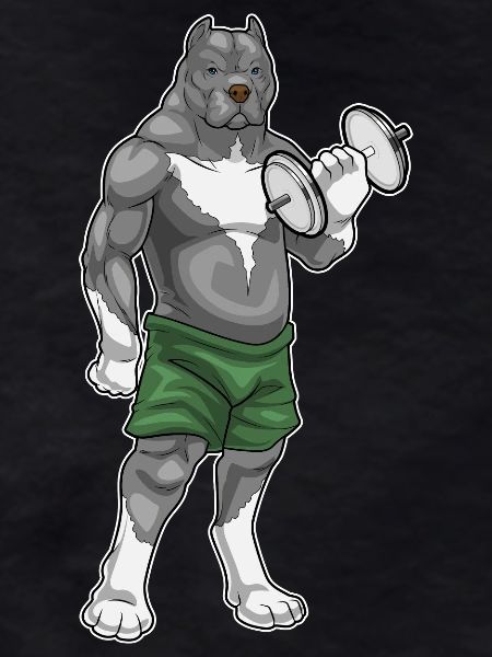 Pitbull Bodybuilder Dumbbell Bodybuilding