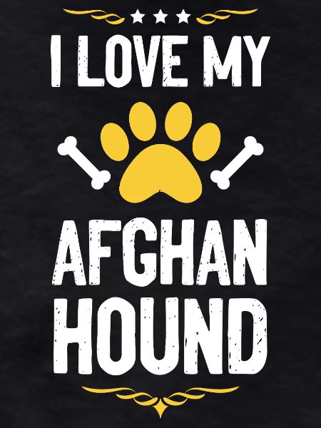 I love my Afghan Hound