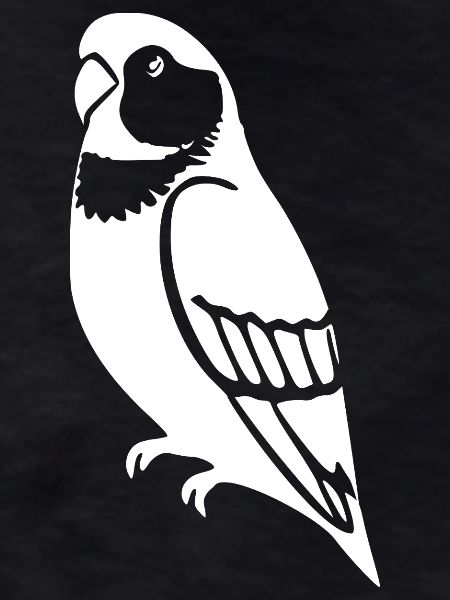 Parrots Bird Geshenk