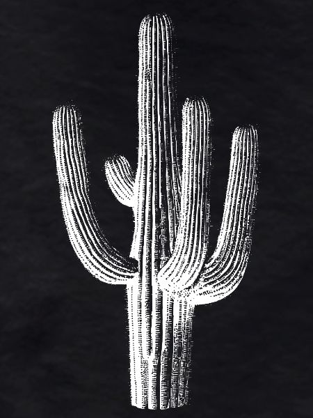 Cactus Brushstroke Silhouette
