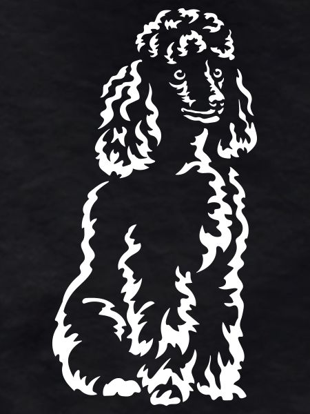 Poodle "Black Edition"