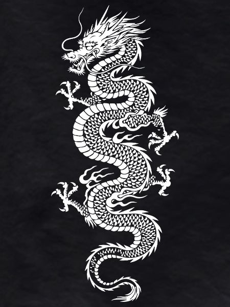 White Dragon Silhouette