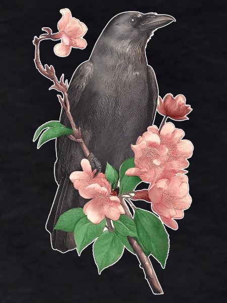 Raven