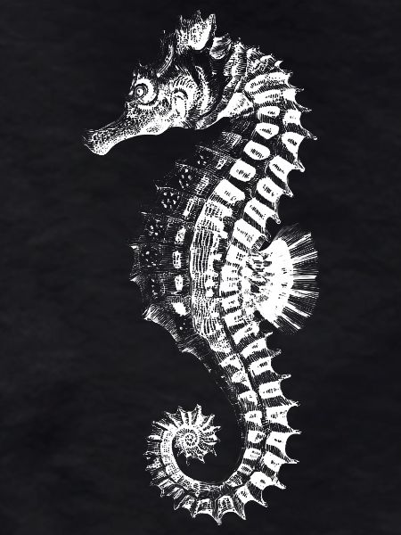 Silhouette complexe d’hippocampe