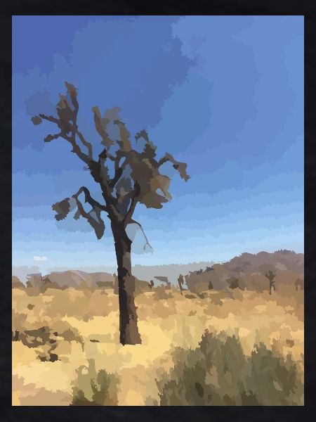 Joshua Tree