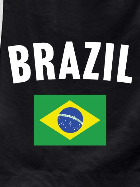 Brazil Flag