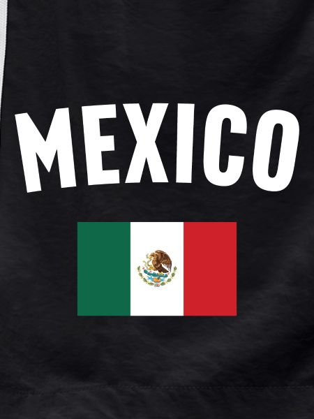 Mexico Flag